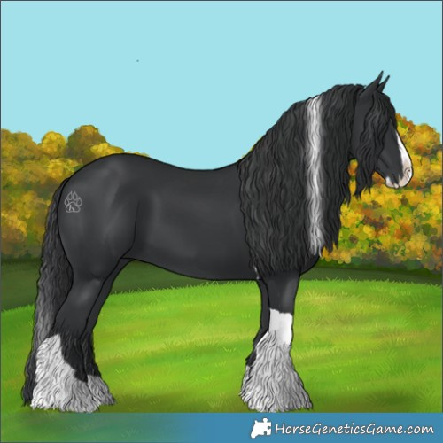 Horse Color:Black Splash Tobiano 