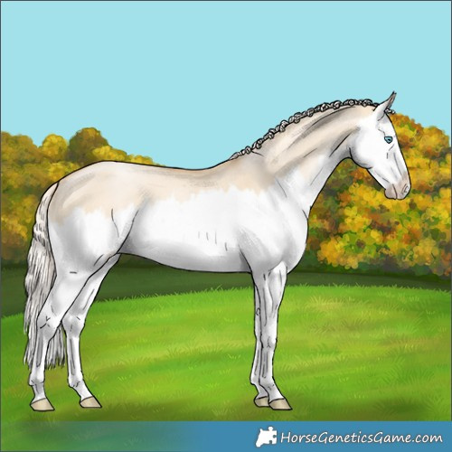 Horse Color:Palomino Pearl Dun Splash 