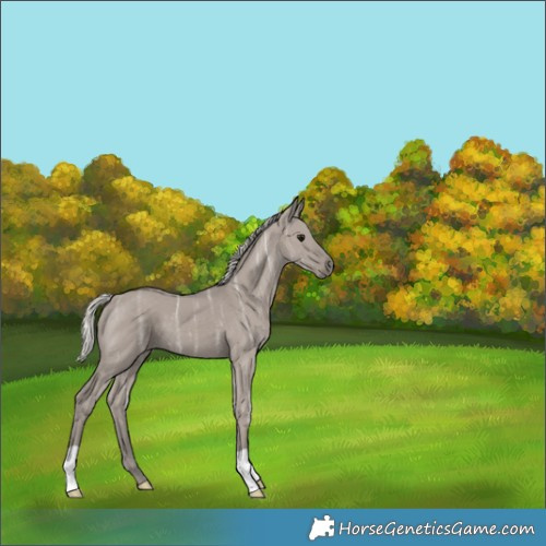 Horse Color:Silver Smoky Grullo Ice 