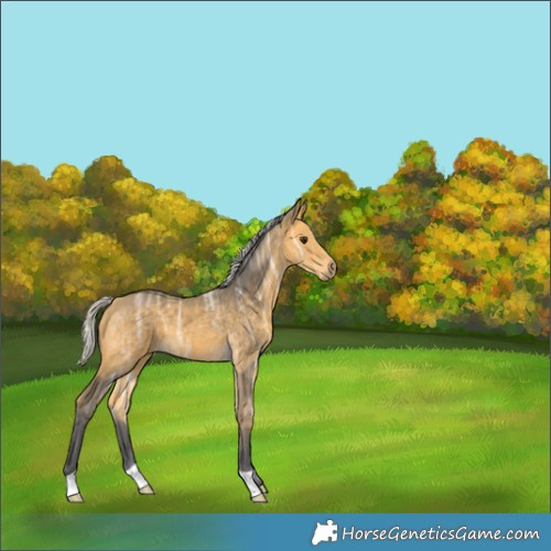 Horse Color:Silver Buckskin Ice 