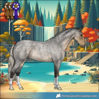 Horse Color:Silver Smoky Blue Roan 