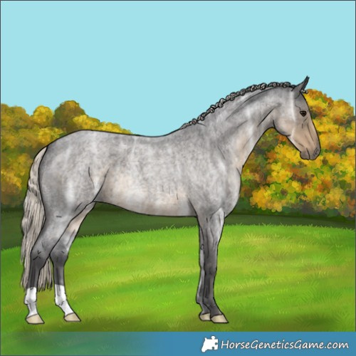 Horse Color:Silver Smoky Blue Ice Roan 