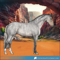 Horse Color:Silver Smoky Blue Ice Roan 