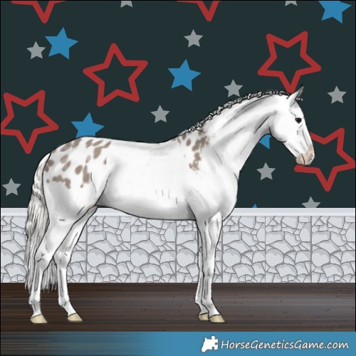 Horse Color:Silver Black Ice Splash Appaloosa 