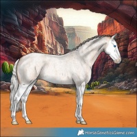 Horse Color:Silver Brown Ice Roan Dun Splash 