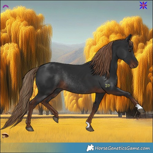 Horse Color:Liver Chestnut Rabicano 