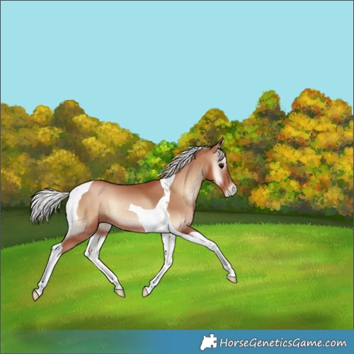 Horse Color:Silver Blue Onyx Pearl Tobiano 