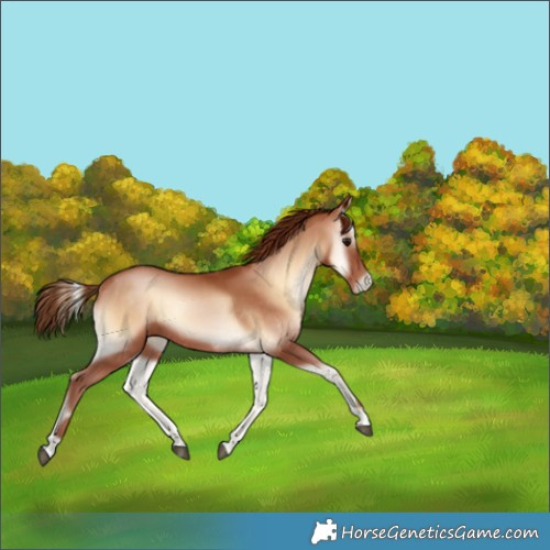 Horse Color:Brown Pearl Onyx 