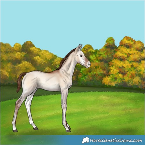 Horse Color:Brown Pearl Onyx 