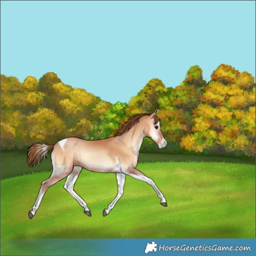 Horse Color:Bay Pearl Onyx Tobiano 