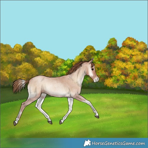Horse Color:Blue Onyx Roan Pearl 