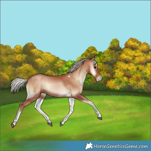 Horse Color:Silver Blue Onyx Pearl Tobiano 