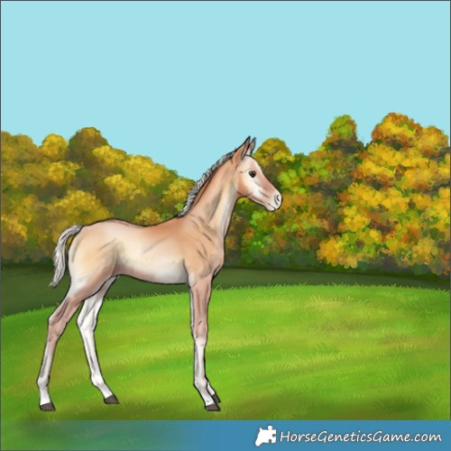 Horse Color:Silver Bay Pearl Onyx 