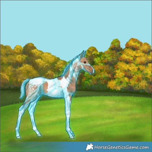 Horse Color:Thunderstruck Silver Bay Dun Tobiano 