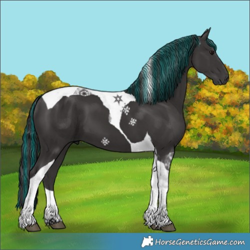 Horse Color:Painted Smoky Black Tobiano 