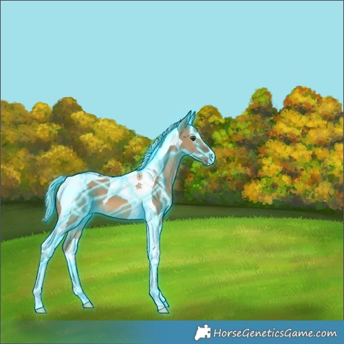 Horse Color:Thunderstruck Chocolate Palomino Dun Tobiano 