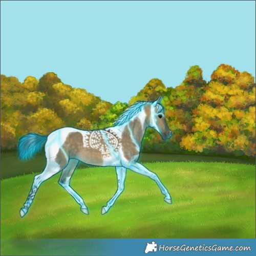 Horse Color:Thunderstruck Buckskin Dun Tobiano 