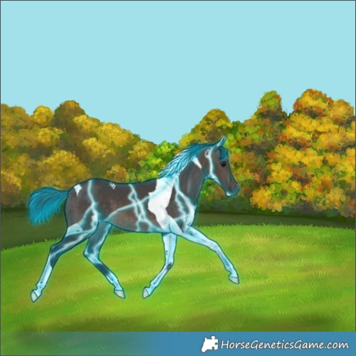 Horse Color:Thunderstruck Brown Dun Tobiano 