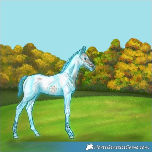 Horse Color:Thunderstruck Brown Dun Splash Tobiano Frame Rabicano 
