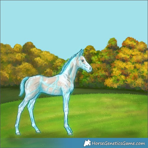 Horse Color:Thunderstruck Cremello Sabino Tobiano 
