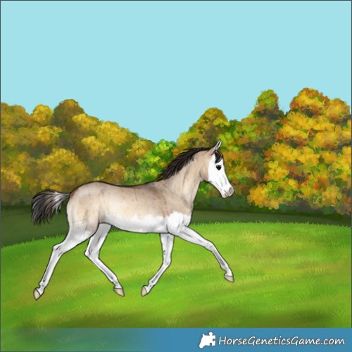 Horse Color:Brown Onyx Splash Rabicano Brindle 