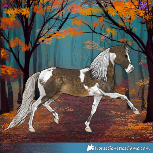 Horse Color:Silver Buckskin Splash Tobiano 