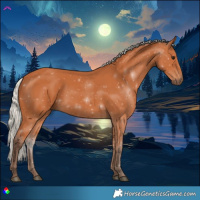 Horse Color:Silver Bay