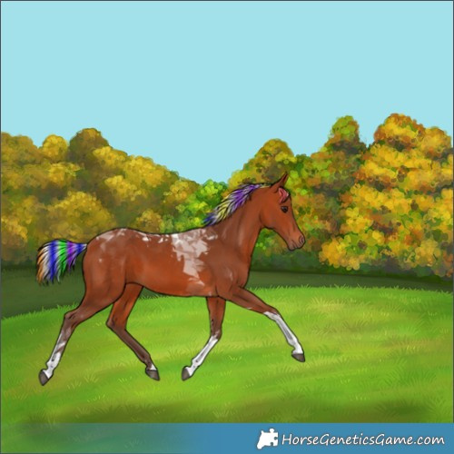 Horse Color:Painted Silver Bay Tobiano 