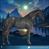 Horse Color:Black 