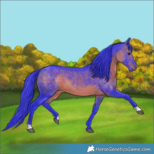 Horse Color:Watercolor Brown 