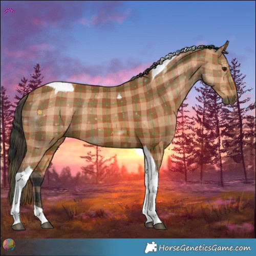 Horse Color:Plaid  Bay Tobiano 