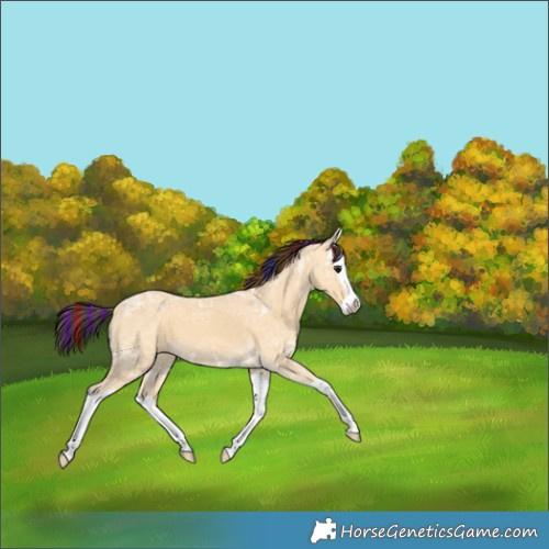Horse Color:Painted Buckskin Ice Splash 