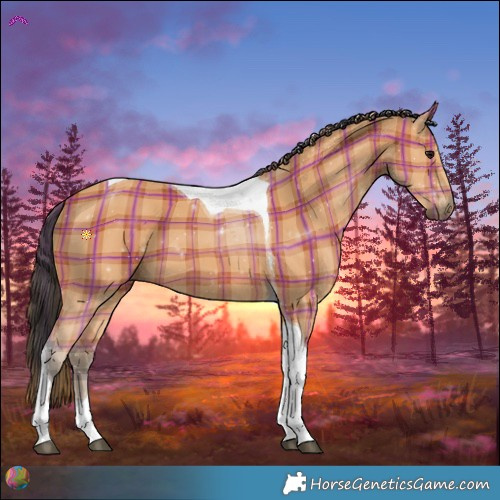 Horse Color:Plaid  Bay Tobiano 