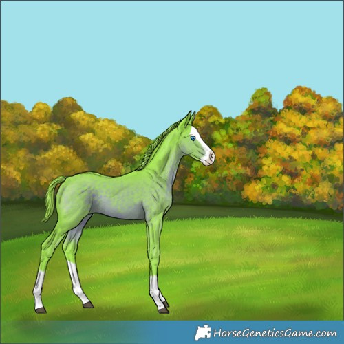 Horse Color:Watercolor Liver Chestnut Splash 