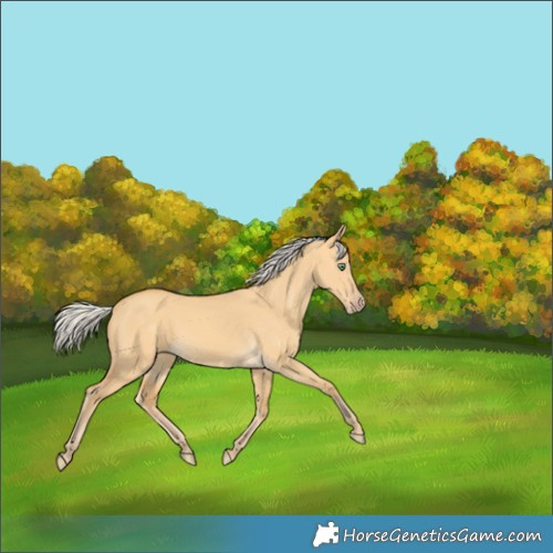 Horse Color:Silver Amber Cream Champagne Dun 