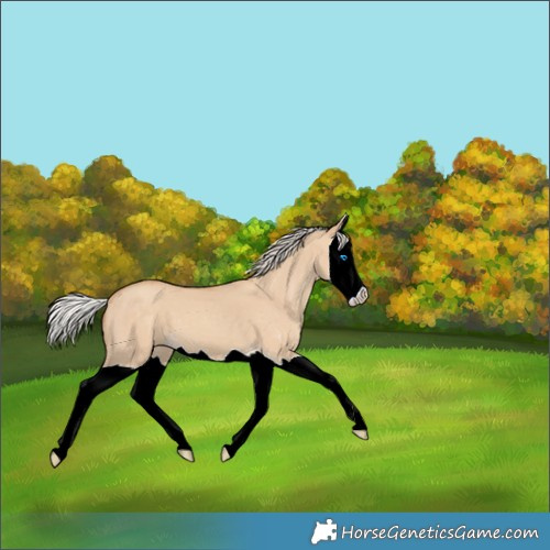 Horse Color:Silver Classic Champagne Dun Splash 
