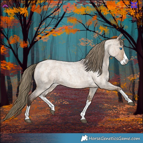 Horse Color:Liver Red Dun Roan Splash Rabicano 