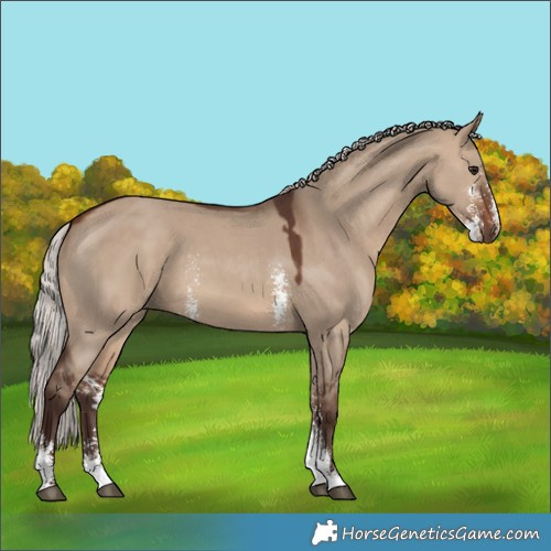 Horse Color:Silver Brown Dun Sabino 