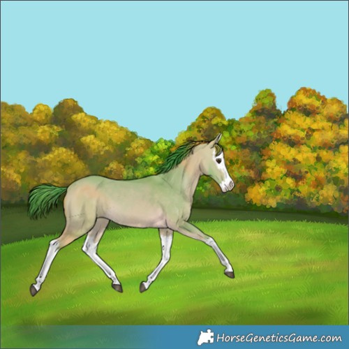 Horse Color:Watercolor Buckskin Dun Splash 