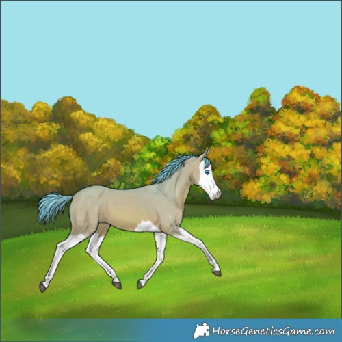 Horse Color:Watercolor Bay Dun Splash 