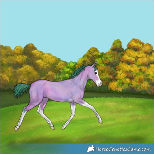 Horse Color:Watercolor Bay Roan Dun Splash 