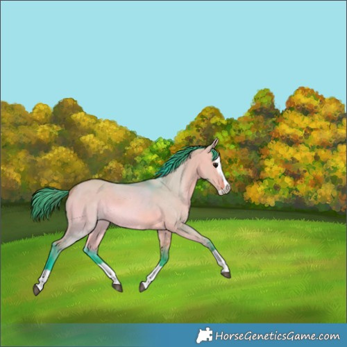 Horse Color:Watercolor Bay Dun Splash 
