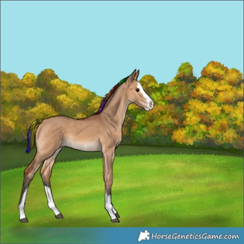 Horse Color:Painted White Spotted Bay Dun Splash 