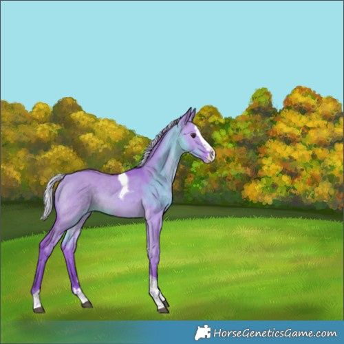 Horse Color:Watercolor Silver Bay Dun Sabino Splash Tobiano 