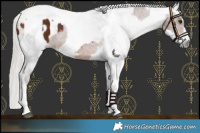 Horse Color:Silver Brown Tobiano Blanket  and Gray Silver Brown Tobiano Blanket 