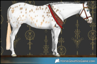 Horse Color:Buckskin Dun Splash Blanket 