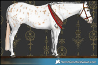 Horse Color:Red Dun Blanket 