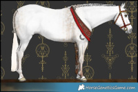 Horse Color:Gray Palomino  and Gray Chestnut 