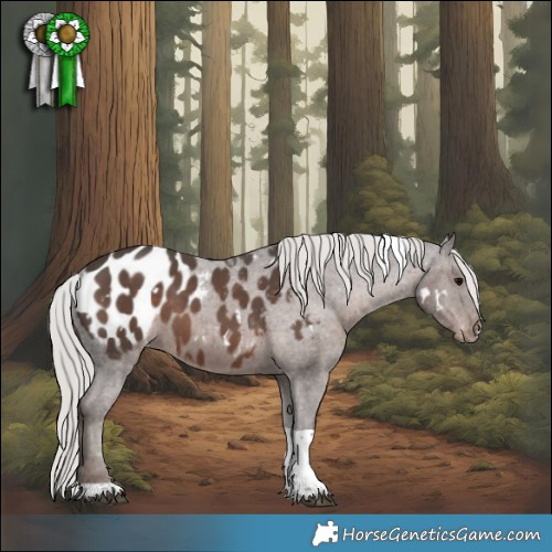 Horse Color:White Spotted Silver Black Tobiano Appaloosa 