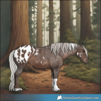Horse Color:White Spotted Silver Black Tobiano Appaloosa 